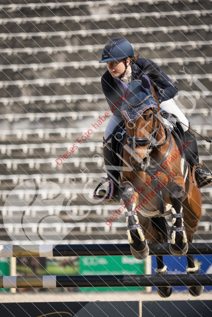 IMG_4189 | Sport-, Event- und Tierfotos in Profiqualität. Einfach auswählen, bestellen und herunterladen. Dein Moment – perfekt festgehalten.