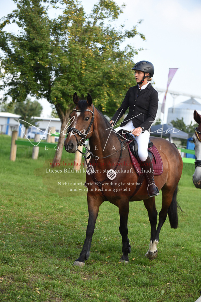 DSC_8573 | Pferde- und Turnierfotografie in Westsachsen. Pferdeportraits, Auftragszeichnungen und intuitive Kunst.