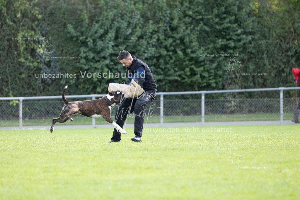 _16A6516 | Einzigartige Fotos von Hunden & Menschen –Actionfotos, Portraits, Vereinsaufnahmen & Paarshootings – authentisch, lebendig & mit Herz.