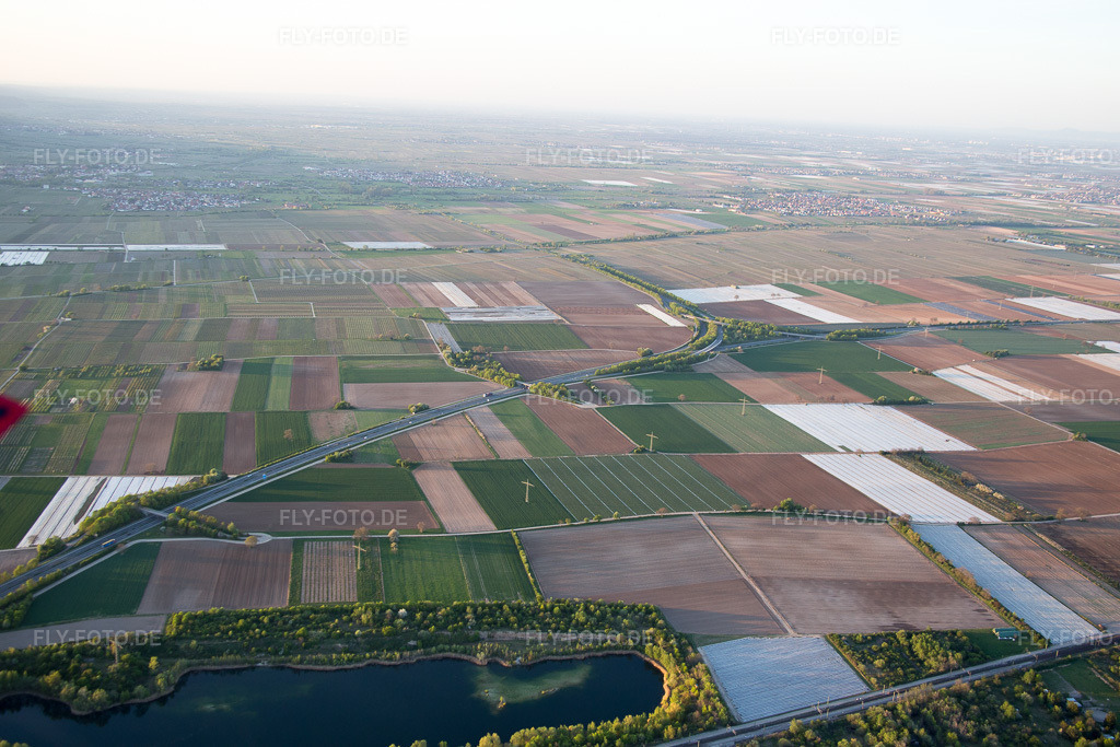 Luftbild: Mussbacher Baggerweiher im Ortsteil Mußbach in Neustadt im Bundesland Rheinland-Pfalz in Deutschland. Foto: IMG_077500.jpg vom 21.04.2015 durch Werner Riehm/FLY-FOTO.de