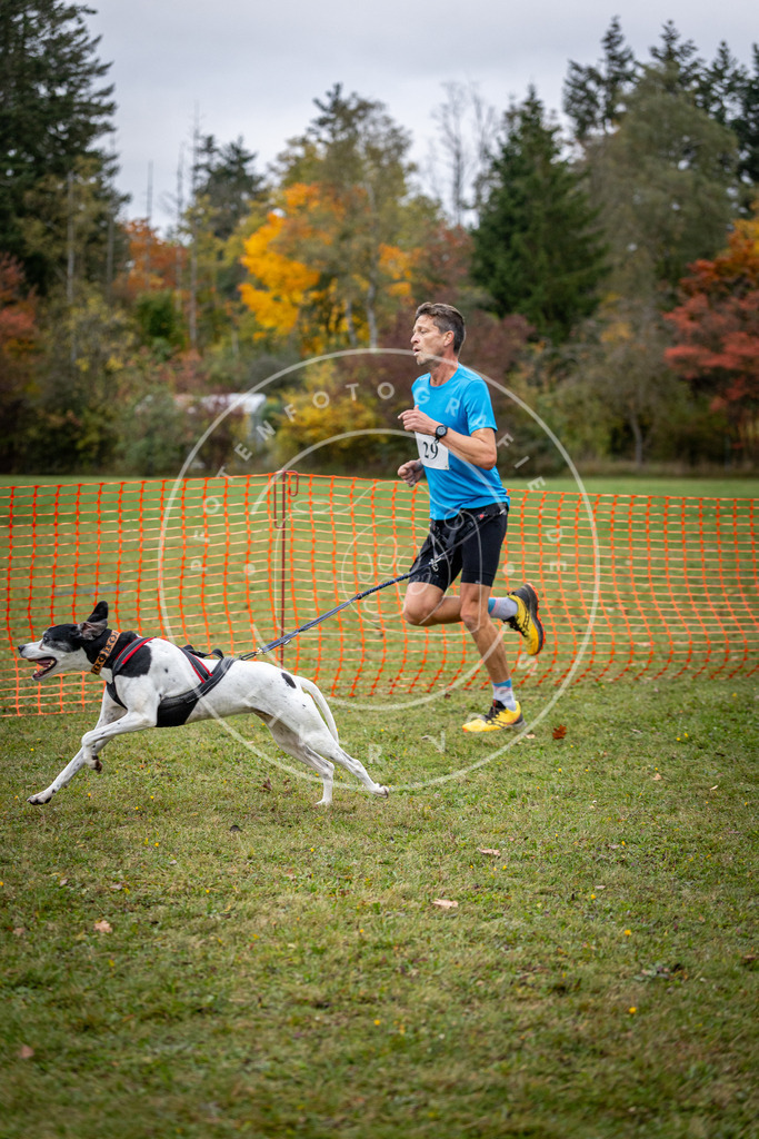 Pfotenfotografie_DV3A2095 | Hundefotografie, Tierfotograf, Pfotenfotografie, Fotoshooting Hund, Hunde Portrait, Hundesport, Hundeportraits, Heideshooting, Hunde, Sportfotograf, Hundefotograf, Turnierhundsport, THS,  - Realisiert mit Pictrs.com