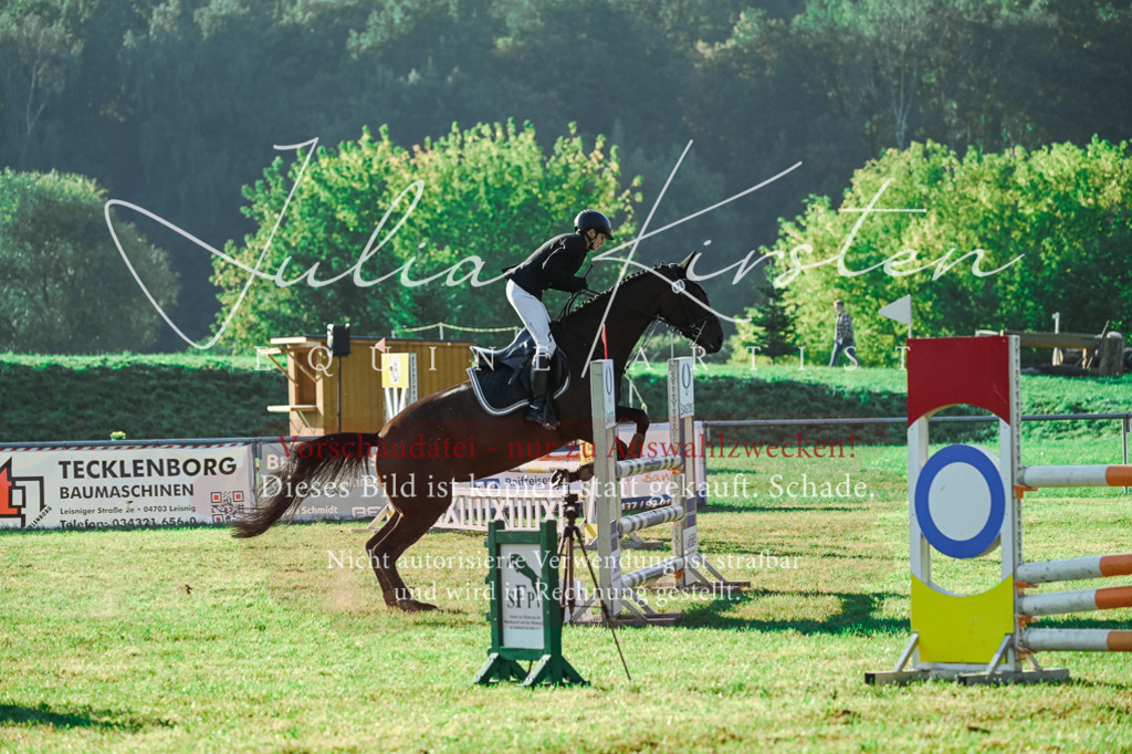 DSC_4404 | Pferde- und Turnierfotografie in Westsachsen. Pferdeportraits, Auftragszeichnungen und intuitive Kunst.
