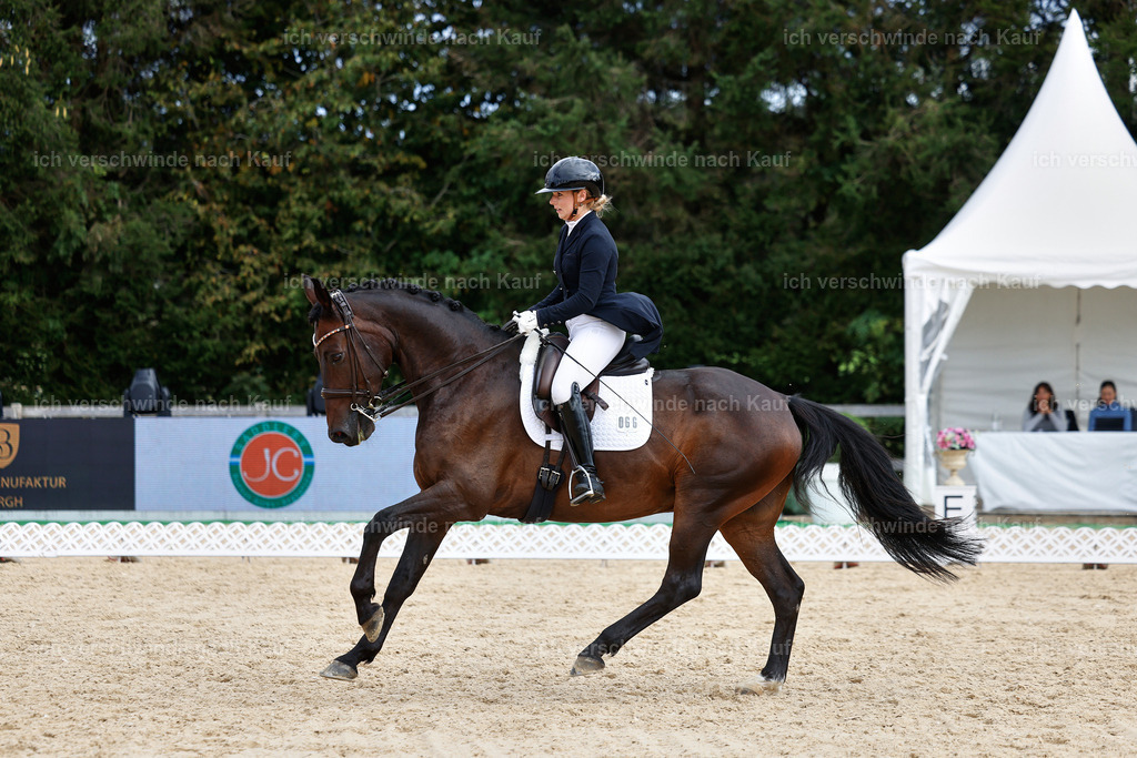 11-066-Dressur S___-StoibPH-1252 | working equitationturnier fotograf videograf stoibphotography marixx film working equitation deutschland reitsport turnierfotografie eventfotografie equestrian events
