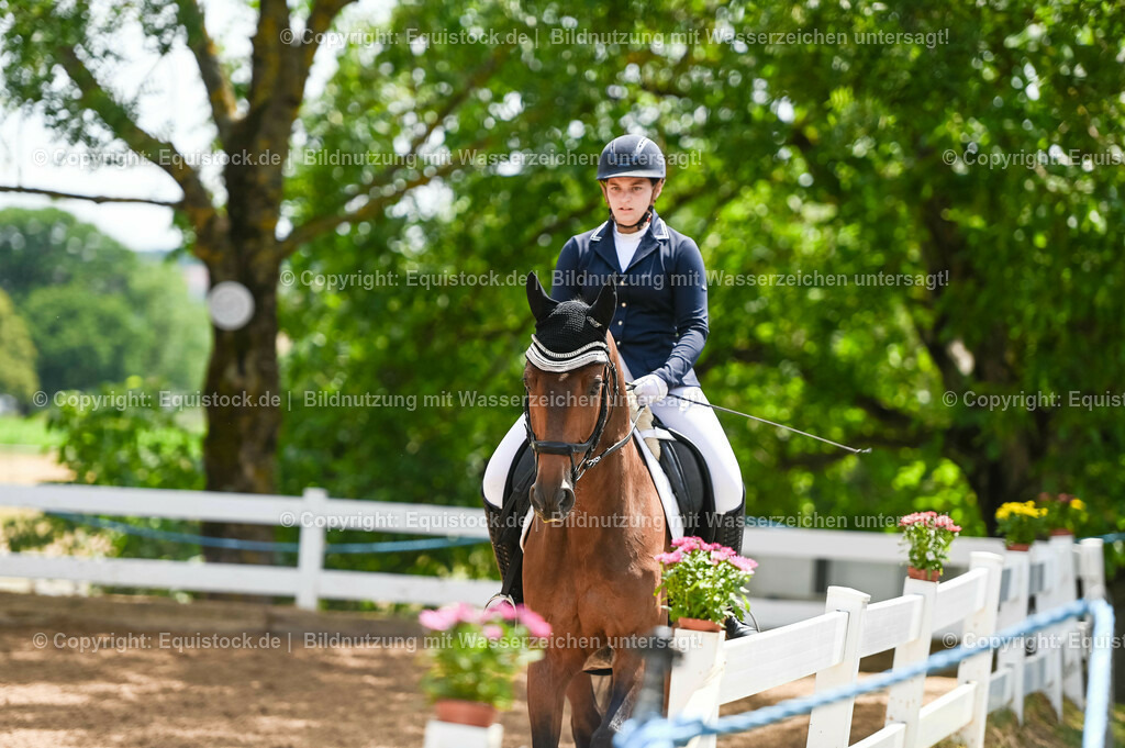 20230716_03_Dressurprfg. Kl.L - Tr._0676 | equistock