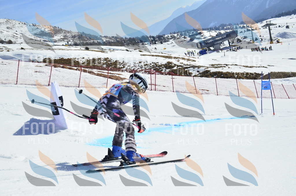 _ELE0400 | holidayphoto