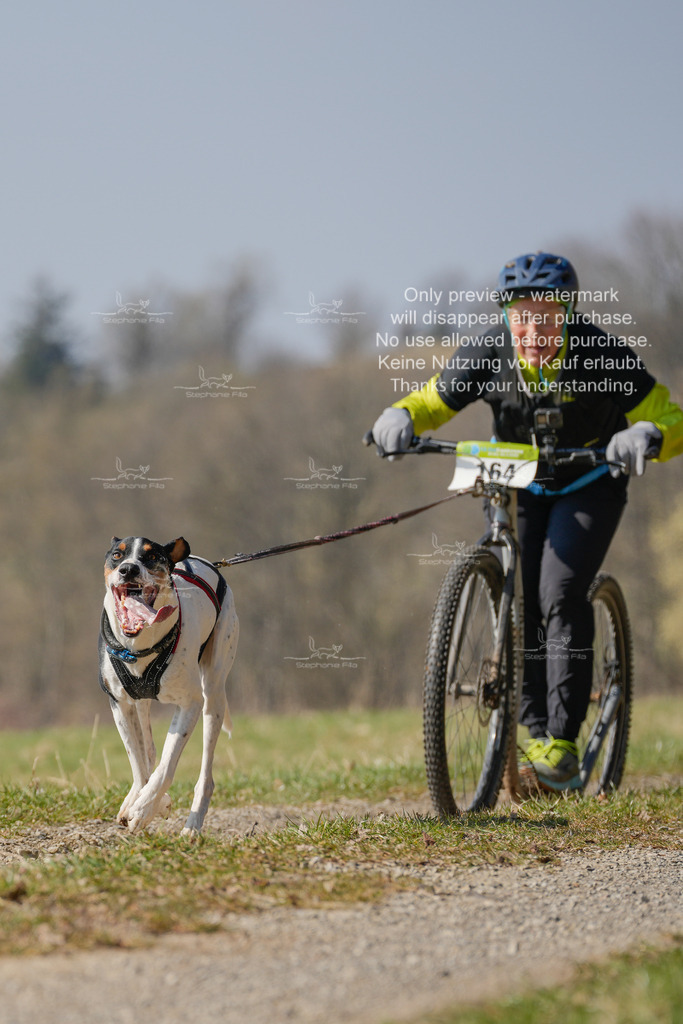 Scooter_Lang-137 | stephaniefillaphotographie - Realisiert mit Pictrs.com