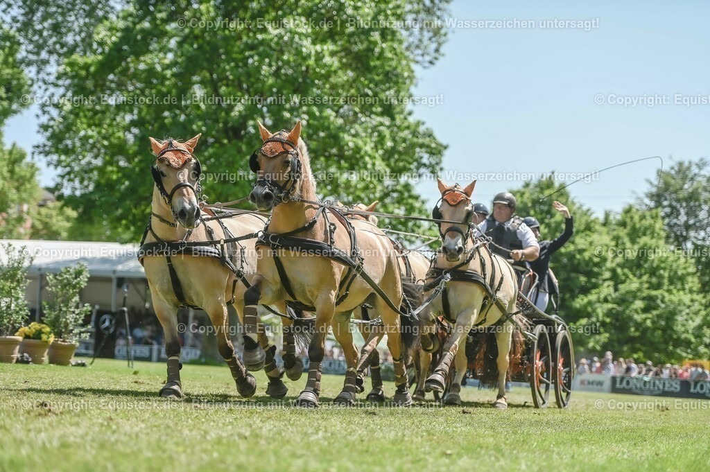 20230528_Jump-and-Drive_0296 | equistock