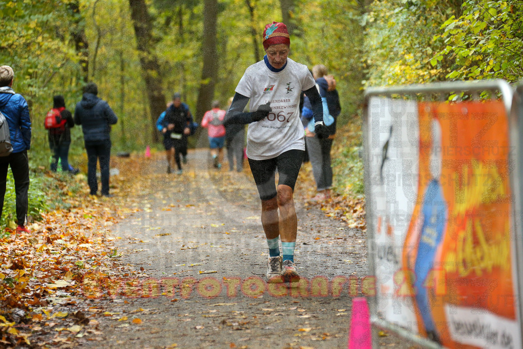 251026_1328_EX1_3522 | Sportfotografie im Rhein-Sieg Kreis, Köln, Bonn, NRW, Rheinland Pfalz, Hessen, etc. Unser Tätigkeitsfeld umfasst den Laufsport vom Volkslauf über den Marathon, Duathlon, Triathon bis zum Ultralauf wie Kölnpfad Ultra oder Schindertrail.