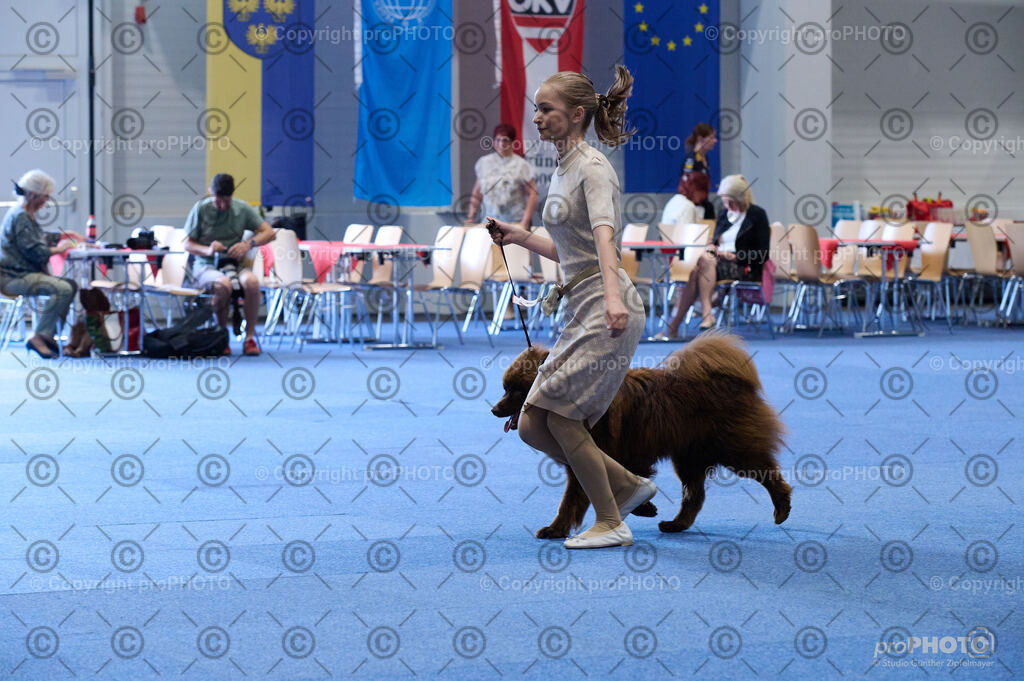 202406_ÖKV-IHA-Tulln24_DSC_4710 | proPHOTO - Realisiert mit Pictrs.com