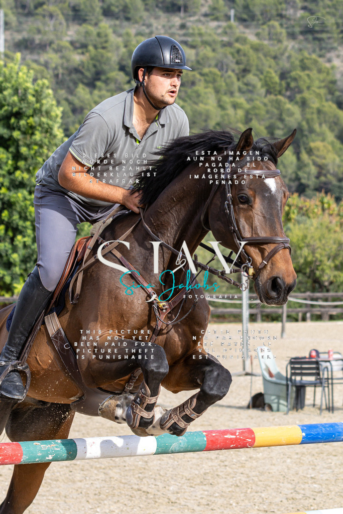 IMG_4085 | s-jay-photography - Realisiert mit Pictrs.com