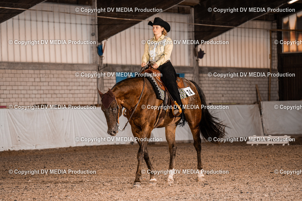 ZH300064 | dv-media-shop - Realisiert mit Pictrs.com