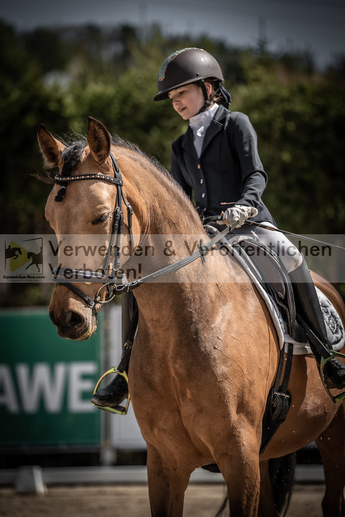 DSC_0857 | equestrian-live-com