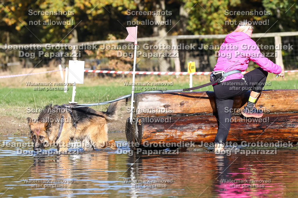 Dog Paparazzi - Strongdog 10-25-8819 | Dog Paparazzi Jeanette Grottendiek Fotografie & Videografie - Realisiert mit Pictrs.com