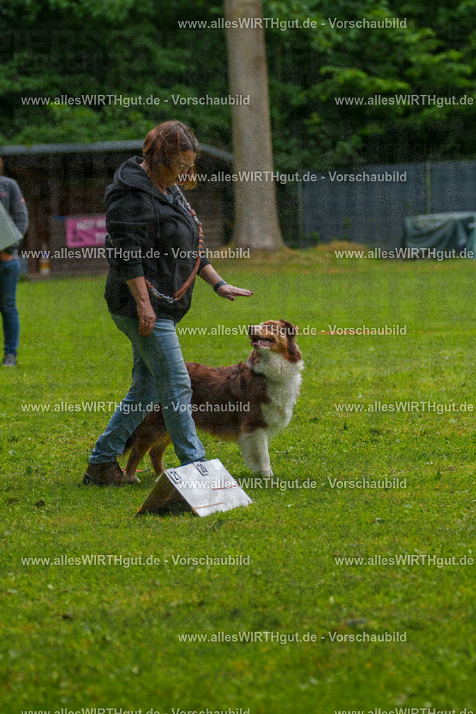 @allesWIRTHgut_Tierfotografie - www.allesWIRTHgut.de - 7R502636 | Professionelle Tierfotografie in Mönchengladbach von Daniel Wirth (allesWIRTHgut). Liebevolle & natürliche Bilder von Hunden & Katzen für unvergessliche Erinnerungen.