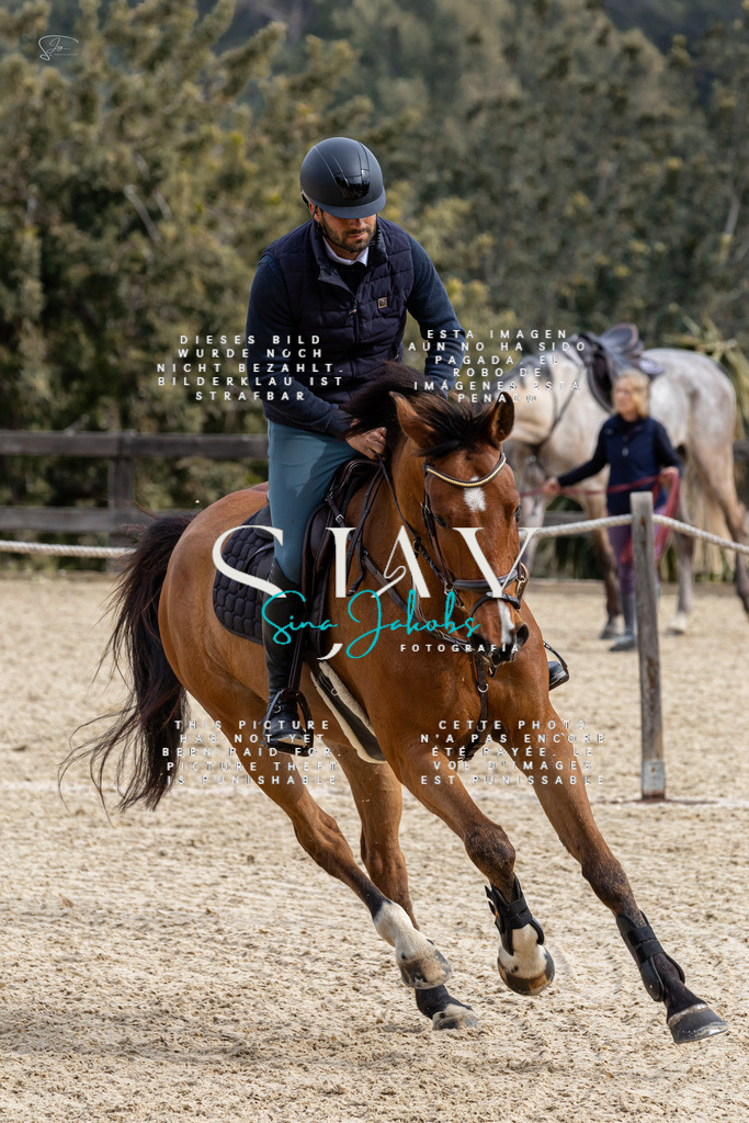 IMG_3800 | s-jay-photography - Realisiert mit Pictrs.com