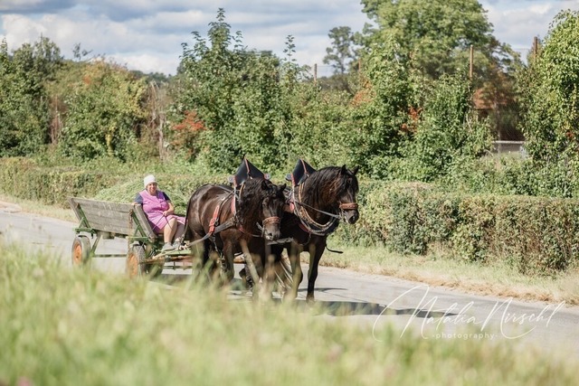 7V6A1788 | natalia-nirschl-photography