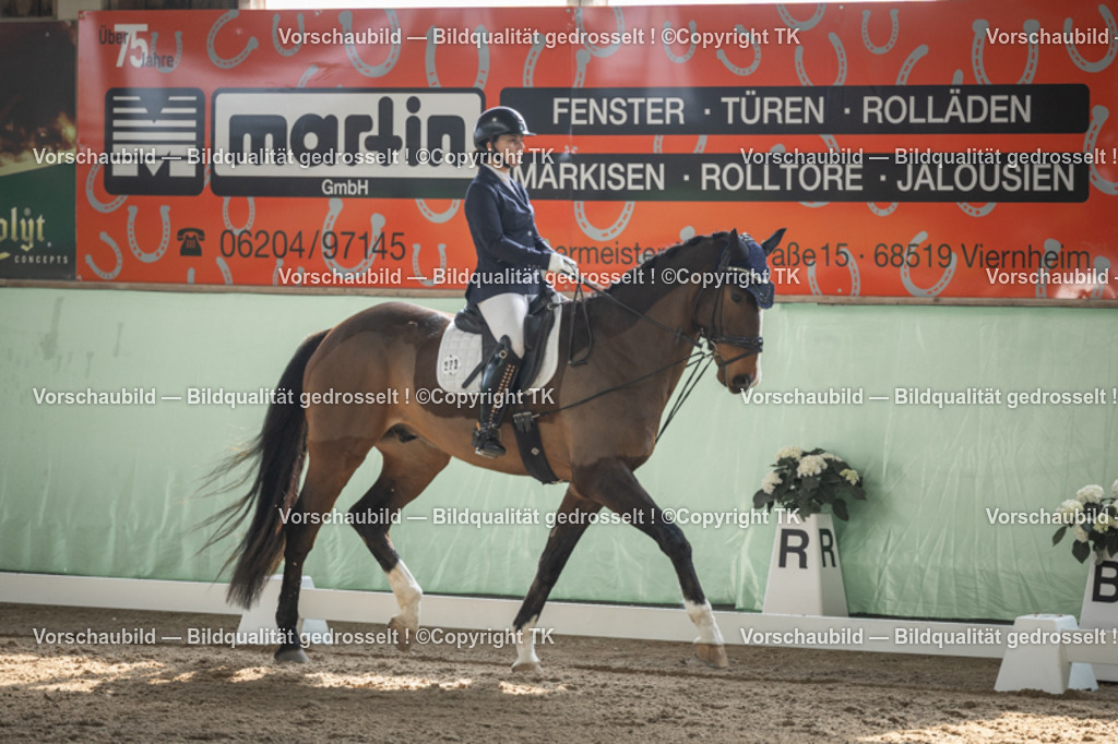 _D5A5469 | Emotionale Pferde- & People-Fotografie rund um Heidelberg, Leimen & Umgebung. Natürliche Fotos von Pferd, Mensch & Familie. Jetzt Termin sichern!