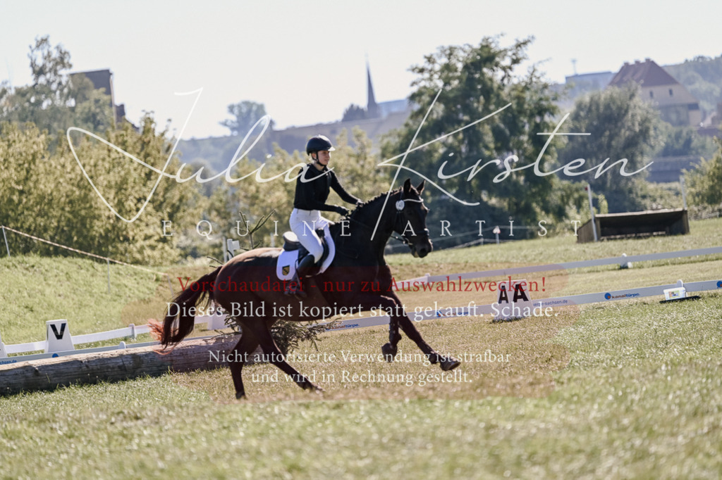 DSC_3403 | Pferde- und Turnierfotografie in Westsachsen. Pferdeportraits, Auftragszeichnungen und intuitive Kunst.