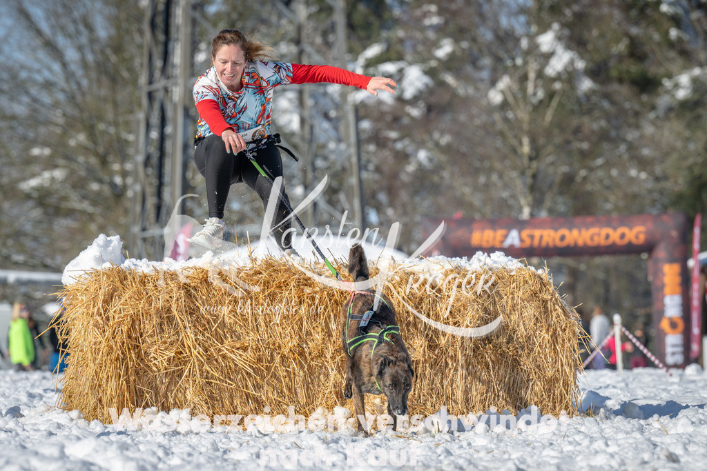 1034_ZZ91776-2 | kk-dogfotos