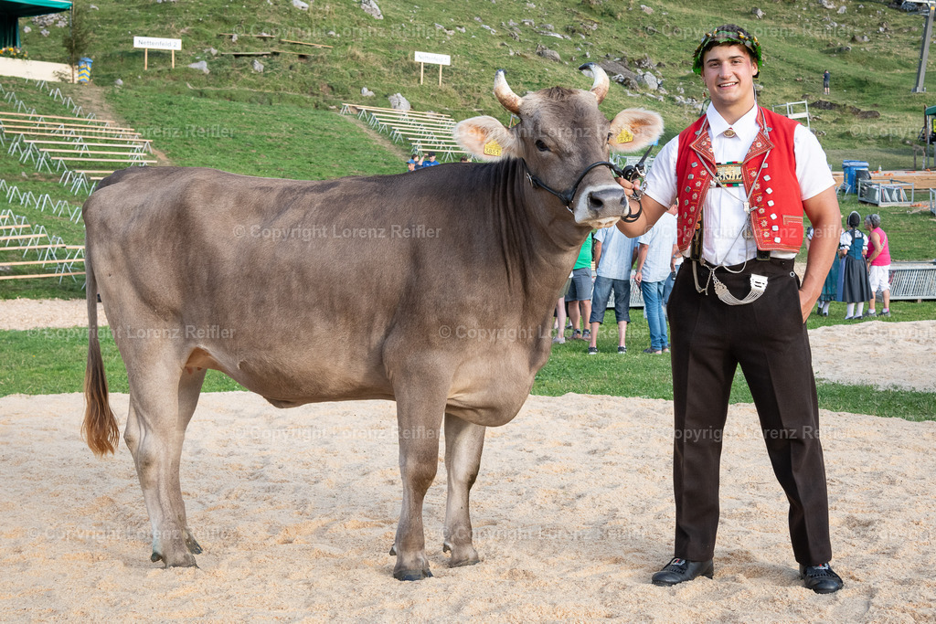 Schwingen -  Schwägalpschwinget 2023 | Schwägalp, 20.8.23, Schwingen - Schwägalpschwinget.