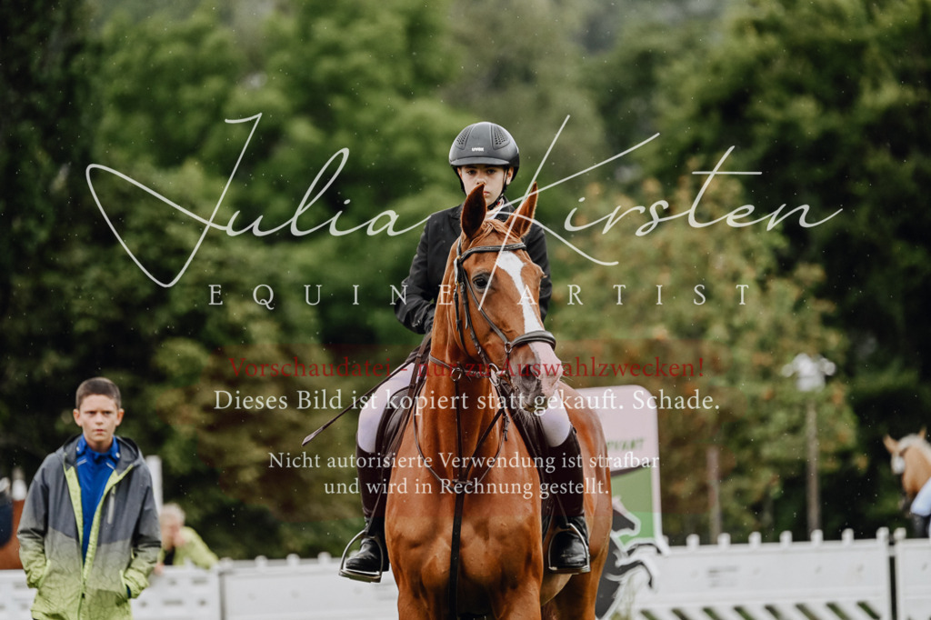 DSC_6848 | Pferde- und Turnierfotografie in Westsachsen. Pferdeportraits, Auftragszeichnungen und intuitive Kunst.
