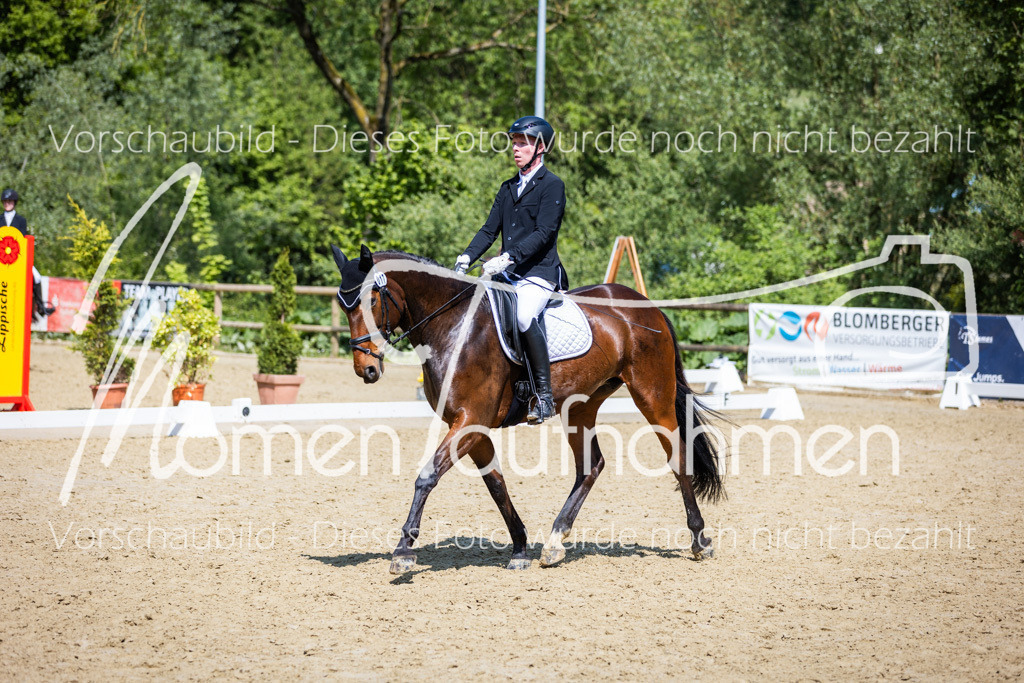 Donop24-L-Dre-075 | MomenTaufnahmen Pferdesportfotos