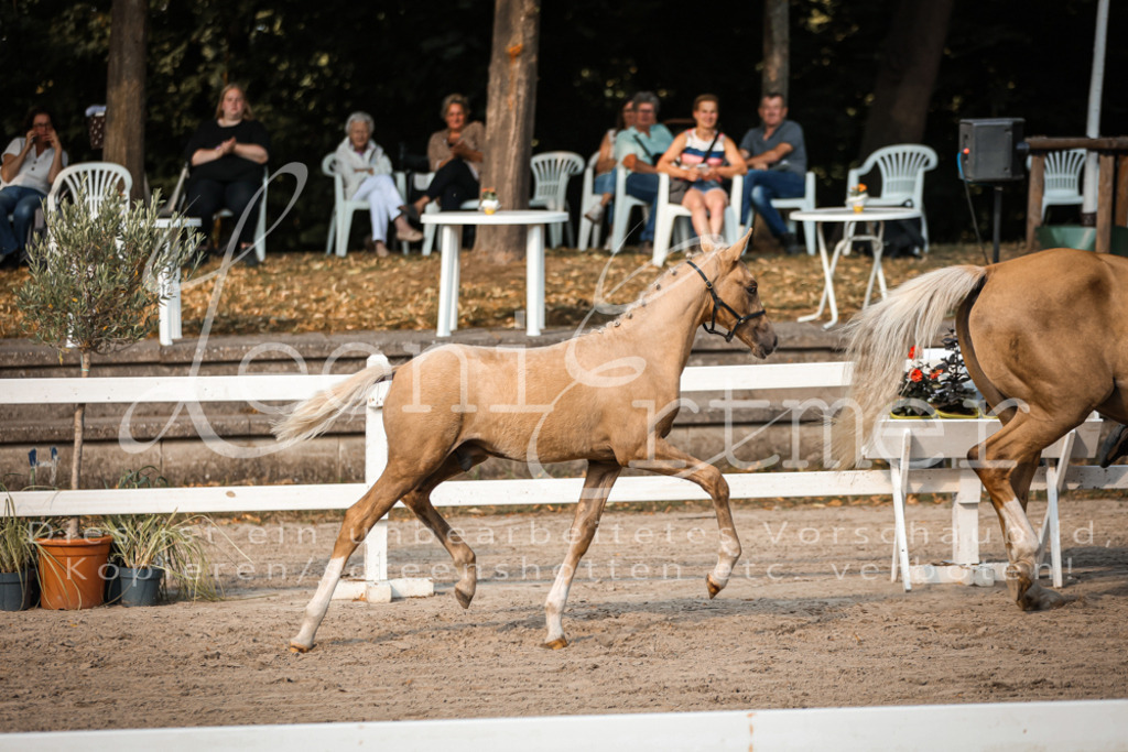 11.DoRP00199 | Leoni Ertmer Photography - Realisiert mit Pictrs.com