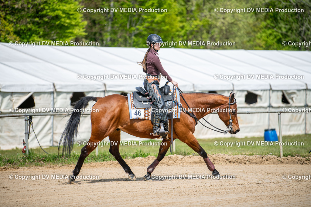 Heiligenwald Tag 3-1040 | dv-media-shop - Realisiert mit Pictrs.com