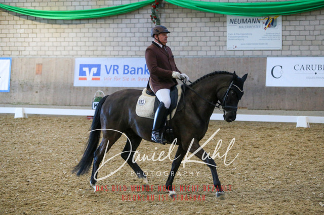 IMG_2833 | Turnierfotos kaufen im Webshop von Daniel Kuhl Photography – entdecke professionelle Reitsportfotos aus Turnieren & Events. Hochwertige Turnierbilder online bestellen & sichern. Jetzt Fotos von Reitsportturnieren kaufen!