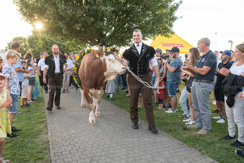 Schwingen -  Unspunnen Empfang 2023 | Wigoltingen, 2.9.23, Schwingen - Unspunnen Empfang.