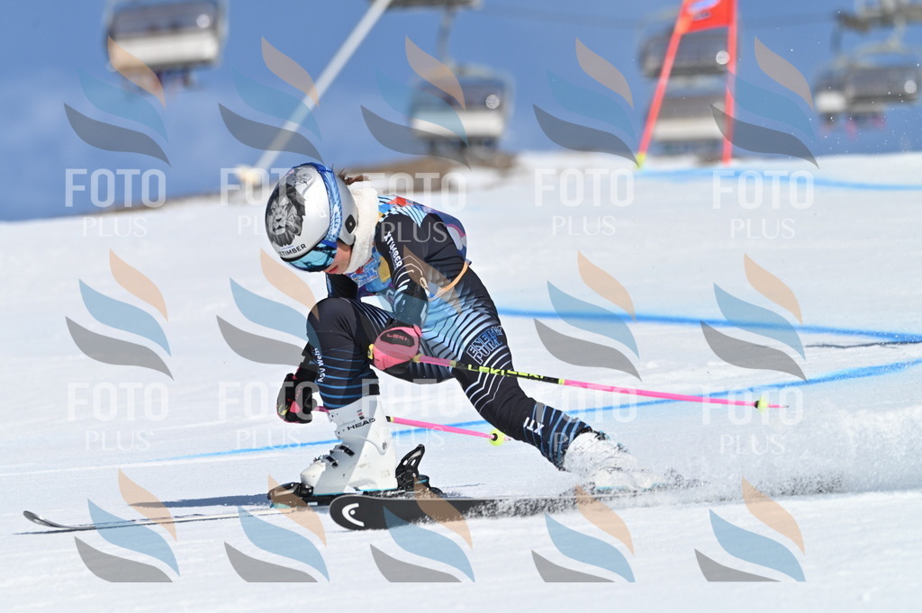 BGV_8488 | holidayphoto