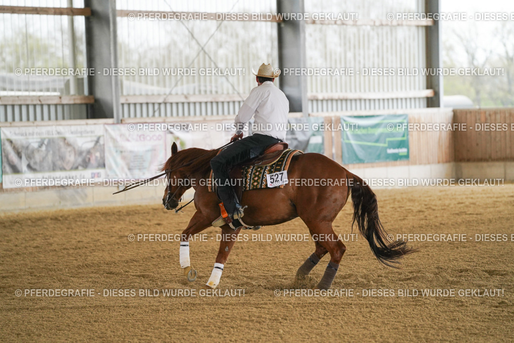 DSC07582 | Pferdegrafie