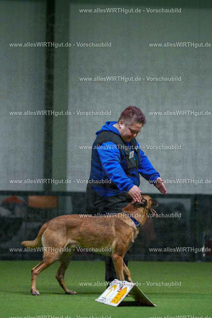 7R503781 | Professionelle Tierfotografie in Mönchengladbach von Daniel Wirth (allesWIRTHgut). Liebevolle & natürliche Bilder von Hunden & Katzen für unvergessliche Erinnerungen.