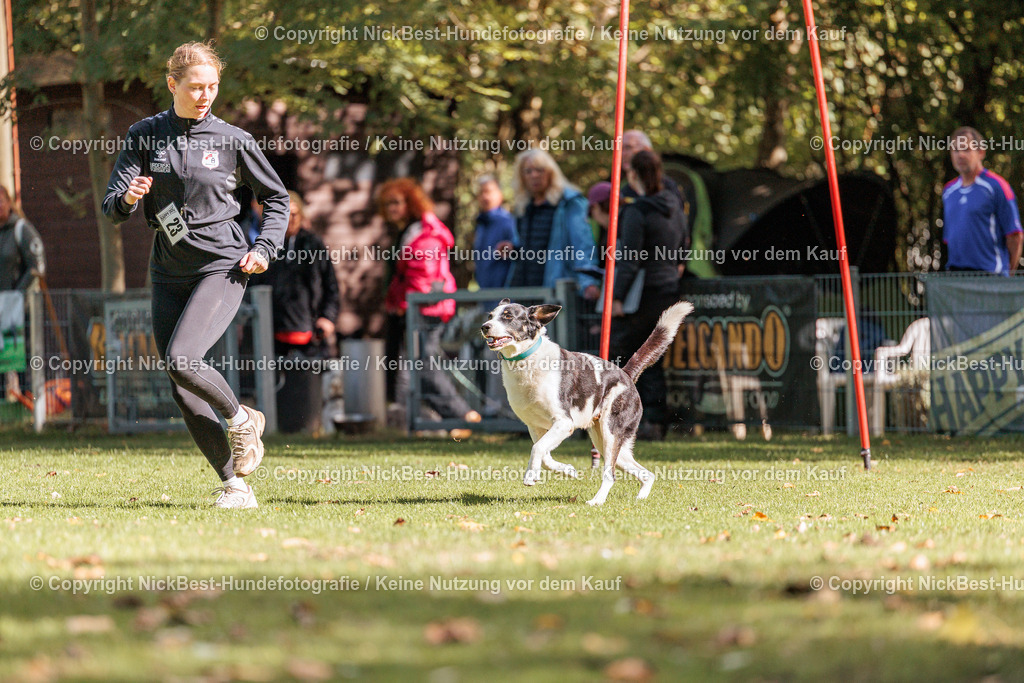 THS-HSV-Blumenthal-2026-Nickbest-Hundefotografie-4843 | Dein Hund! Dein Moment! Deine Erinnerungen! Hundefotografie in Bremen Blumenthal. Ich fange die besonderen Momente deines Vierbeiners ein – ob Indoor mit Blitzanlage oder in der freien Natur. Sicher dir dein Moment und dein Termin für eure Erinnerungen.