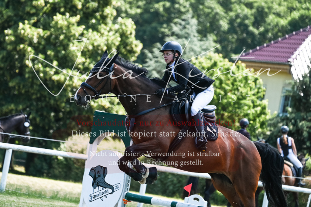 DSC_0044 | Pferde- und Turnierfotografie in Westsachsen. Pferdeportraits, Auftragszeichnungen und intuitive Kunst.