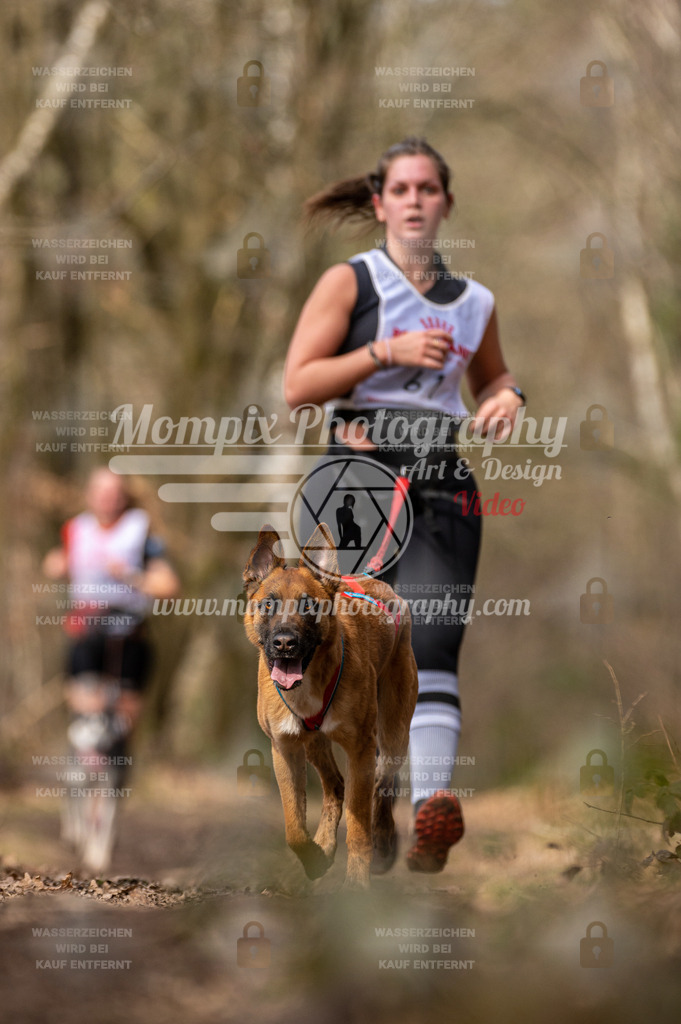 SPA_2023_SAM_CCL-179 | PayLife