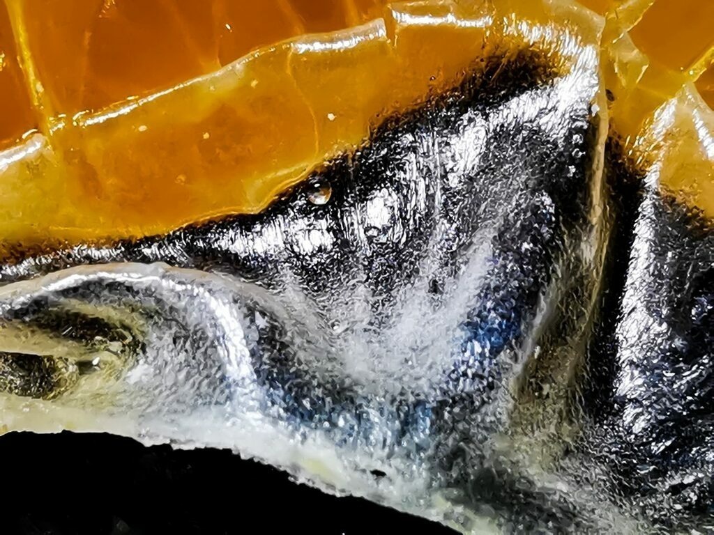 PSX_20230105_230518 | mtkfoto_ - Realisiert mit Pictrs.com