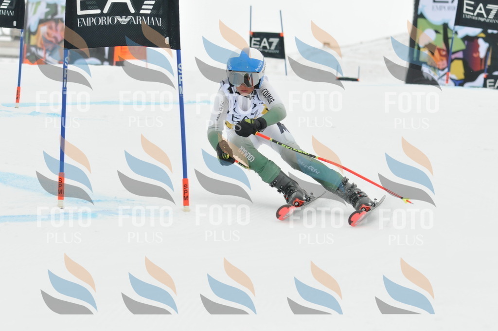 DSC_8608 | holidayphoto