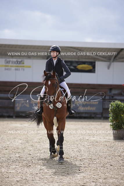 1J2A2372Linn Hamann_ Cas Hope 4_ Kn127_ Havekost | Foto- und Videografie für alles rund ums Pferd. Hochwertige Bilder und Videos vom Spring- und Dressurreiten, Voltigieren & mehr. Jetzt aktuelle Veranstaltungen und Preise im Shop ansehen. - Realisiert mit Pictrs.com