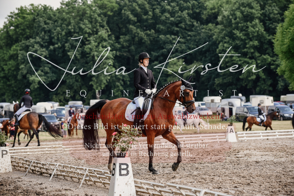 DSC_9764 | Pferde- und Turnierfotografie in Westsachsen. Pferdeportraits, Auftragszeichnungen und intuitive Kunst.