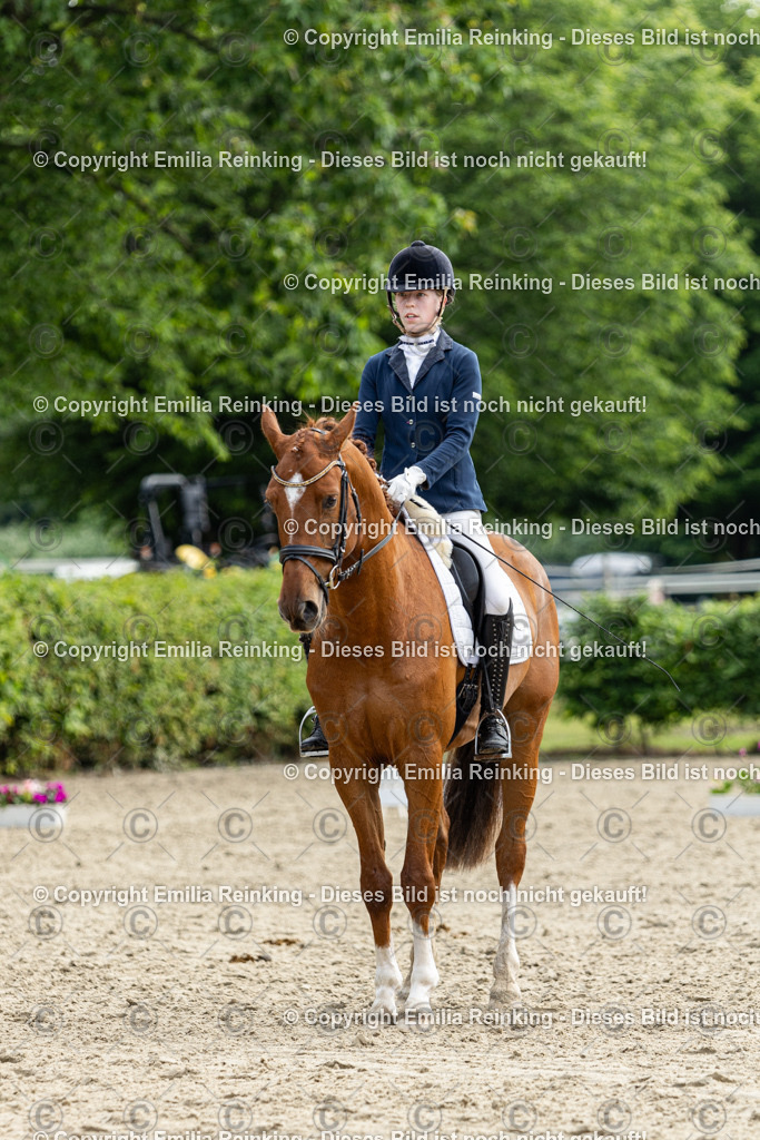 CL5A5142 | Emilia Reinking Fotografie - Realisiert mit Pictrs.com