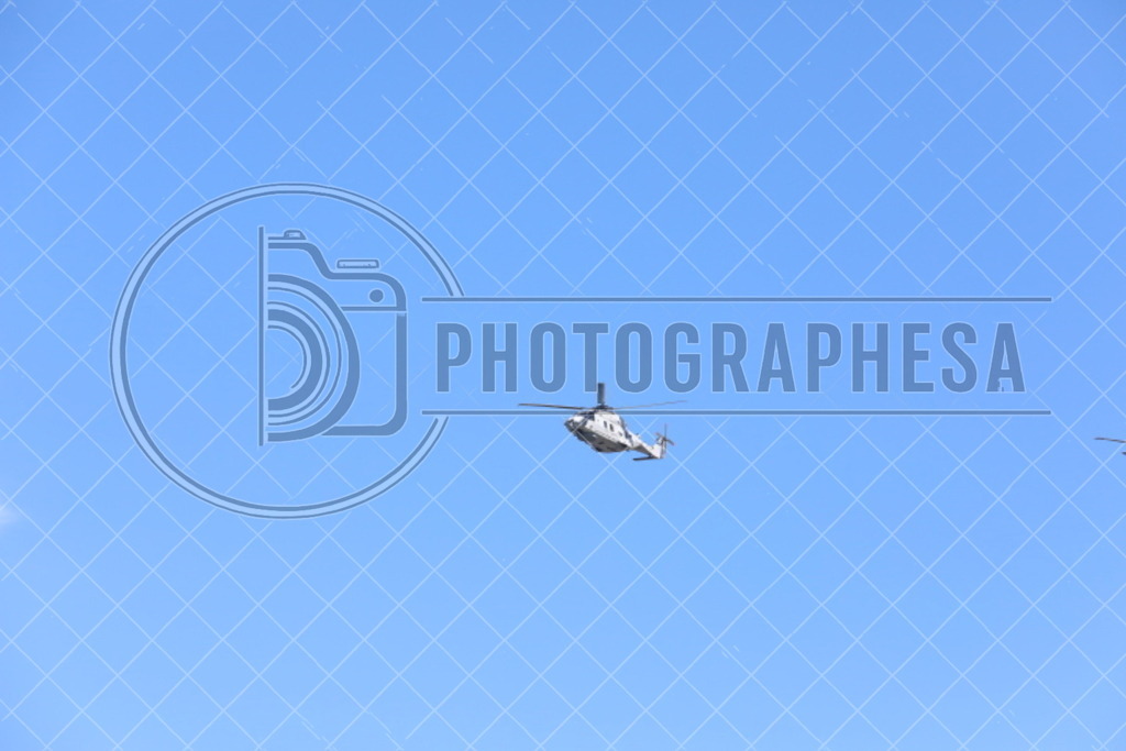 IMG_8839 | photographesa-joergens - Realisiert mit Pictrs.com
