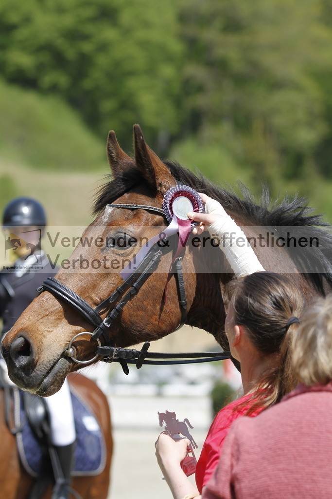 _MG_0319 | equestrian-live-com