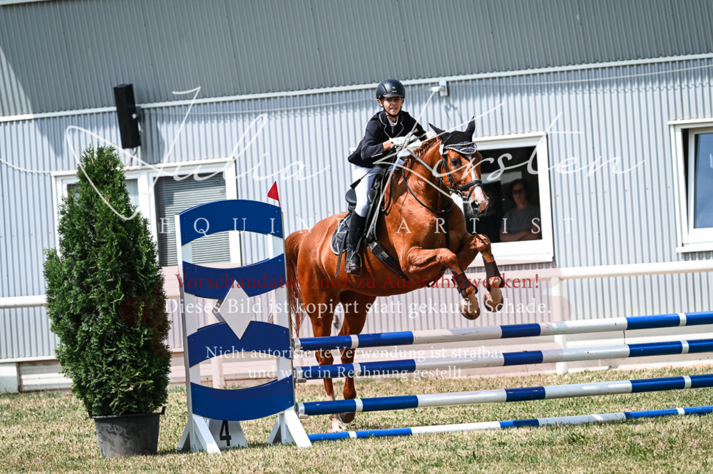 DSC_9182 | Pferde- und Turnierfotografie in Westsachsen. Pferdeportraits, Auftragszeichnungen und intuitive Kunst.