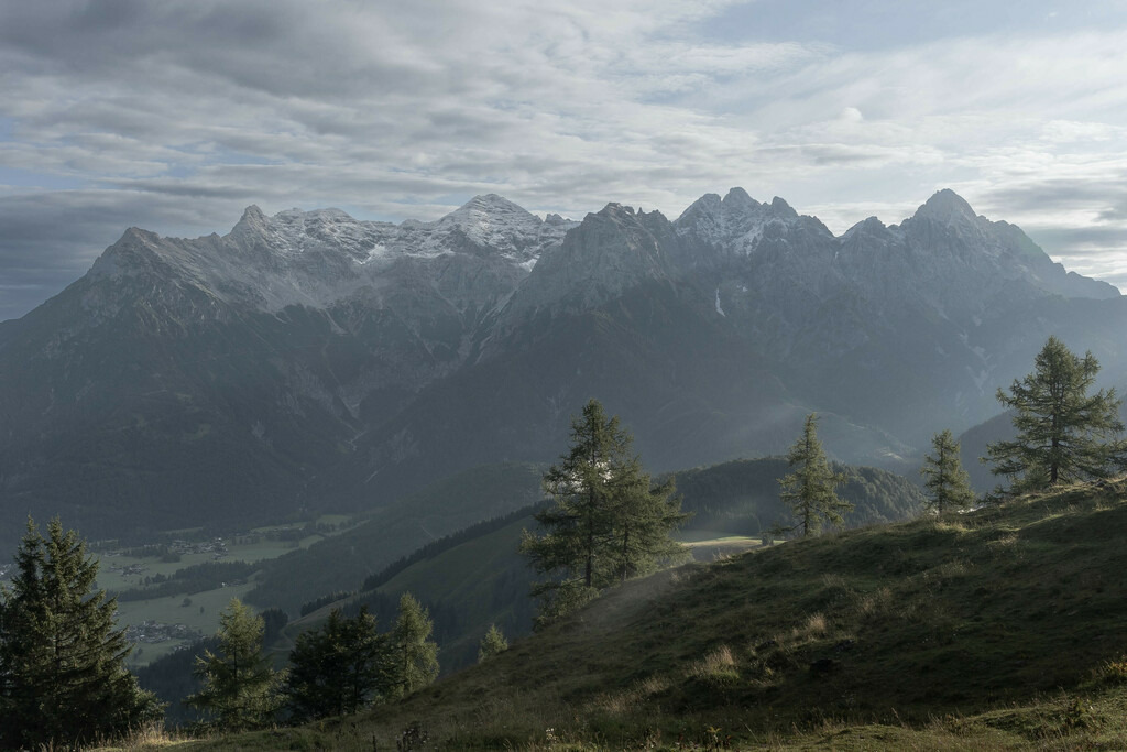 _W5A6822 | Sich an die einzigartigen Momente der Natur und Landschaft sowie die Begegnung mit heimischen wilden Tieren zu erinnern, dies kann man anhand den Bilder der Natur und Landschaftsfotografin Sandra Eimermacher.  - Realisiert mit Pictrs.com