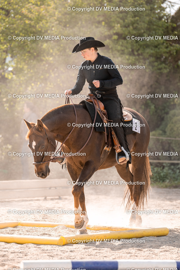 Balingen Tag 5-249 | dv-media-shop - Realisiert mit Pictrs.com