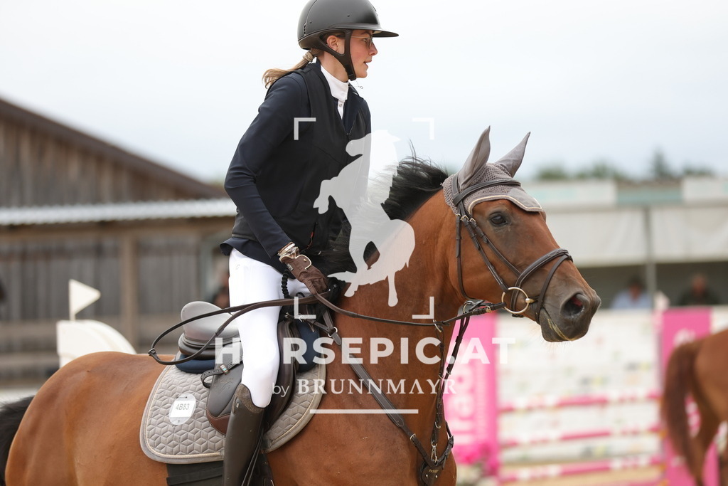 0P6A2075 | Willkommen bei Brunnmayr - Design & Fotografie – Ihrem Spezialisten für Reitturniere und Pferdeveranstaltungen in Oberösterreich, Salzburg und Bayern! Seit über 17 Jahren sind wir leidenschaftlich dabei.