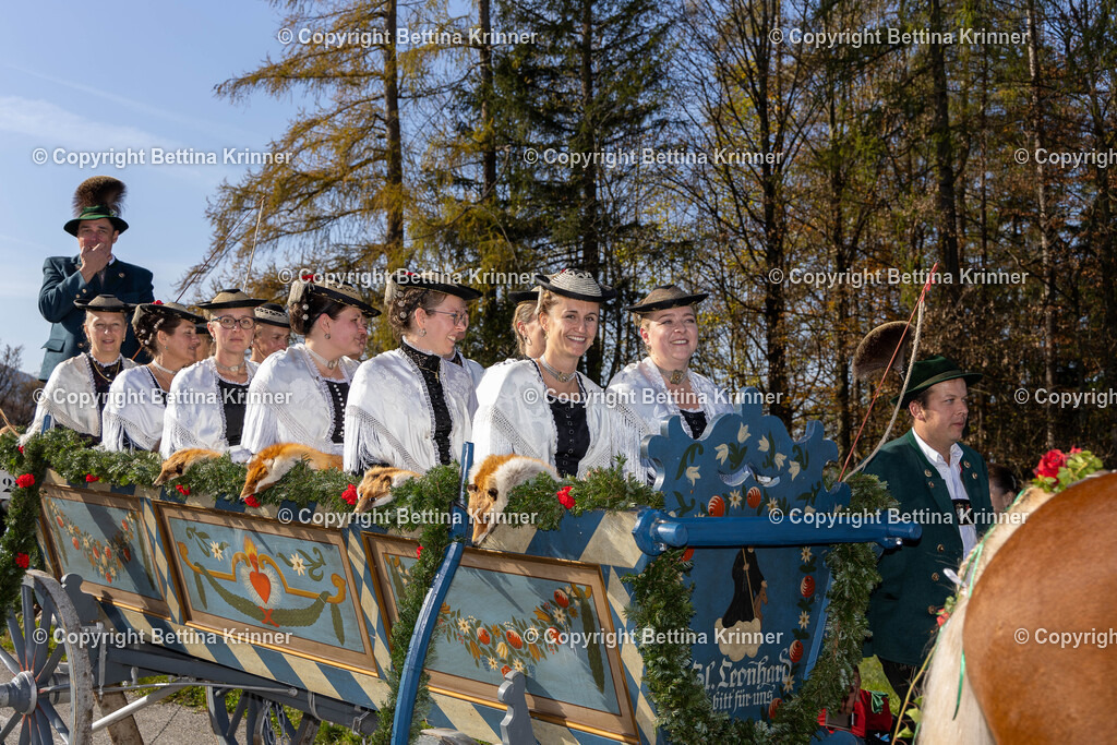 LBT24-1237 | foto-bettina-krinner - Realisiert mit Pictrs.com