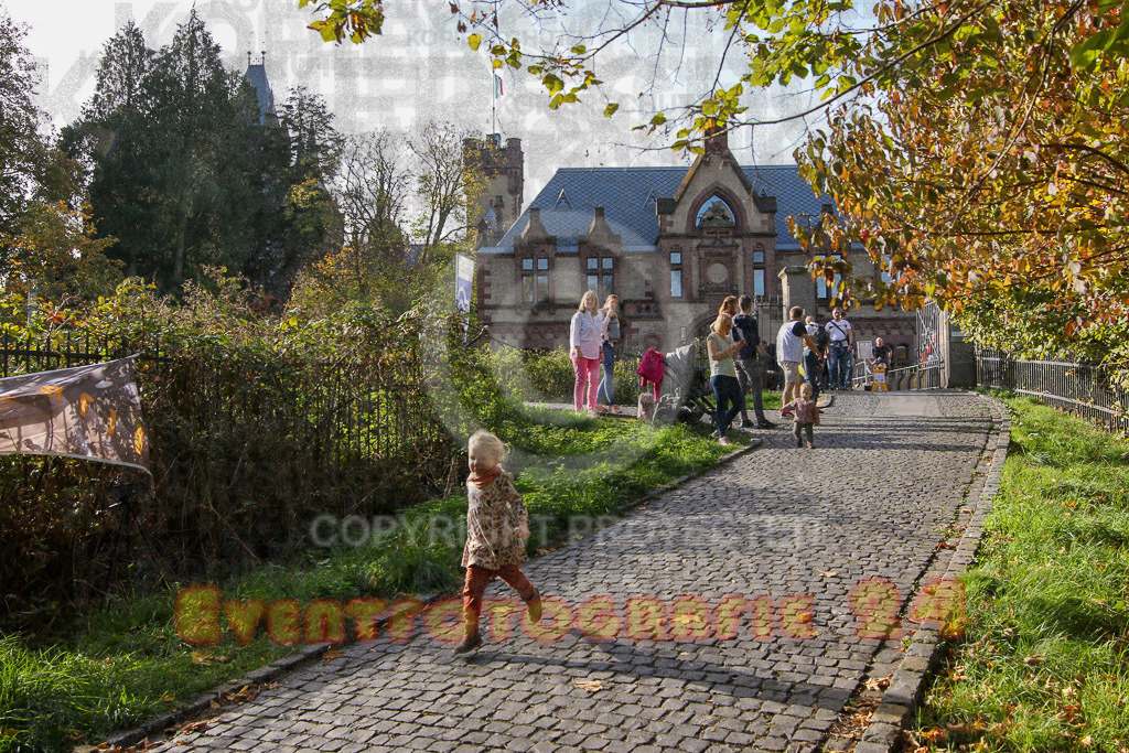 221030_1223_EV8_6093 | Sportfotografie im Rhein-Sieg Kreis, Köln, Bonn, NRW, Rheinland Pfalz, Hessen, etc. Unser Tätigkeitsfeld umfasst den Laufsport vom Volkslauf über den Marathon, Duathlon, Triathon bis zum Ultralauf wie Kölnpfad Ultra oder Schindertrail.