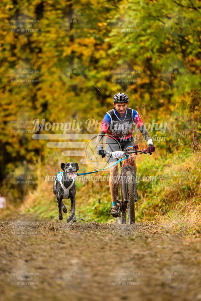 MompixPhotography_ICF_WC_2024_SA_Bike_-69 | PayLife
